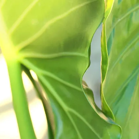 Acqua アパート レッチェ