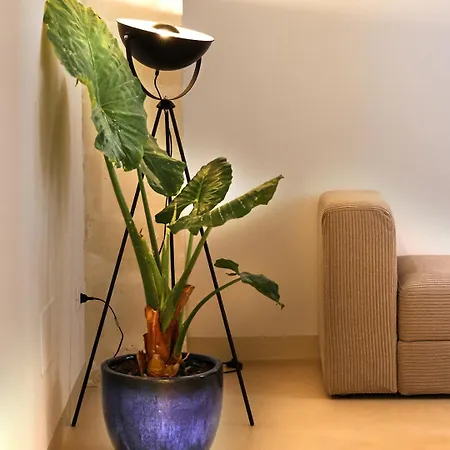 Acqua Apartamento *