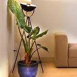 Acqua Apartamento *