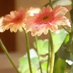 Apartamento Acqua *