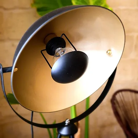 Acqua Διαμέρισμα *