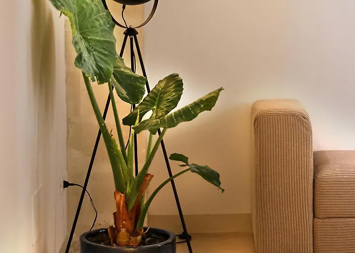 Acqua Appartement *